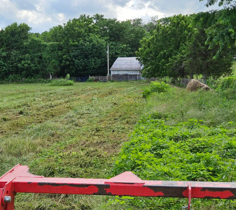 brush & undergrowth removal rocheport mo brush & undergrowth removal rocheport mo