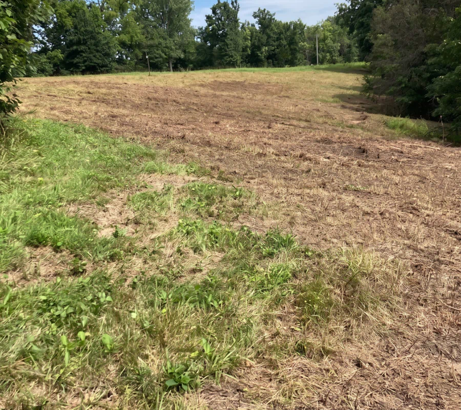 land clearing rocheport mo land clearing rocheport mo